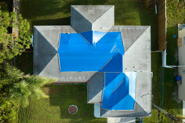 Best Storm Damage Roof Repair  in Farmville, NC