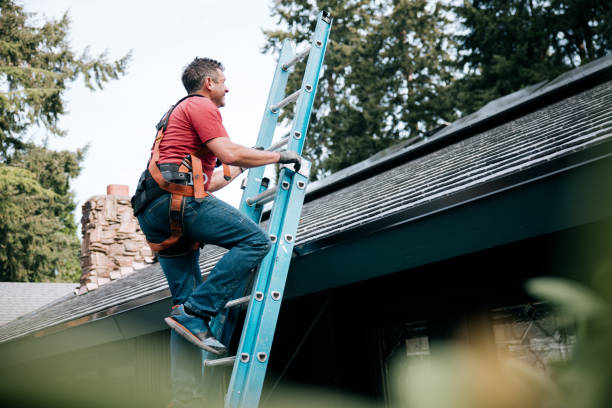 Best Chimney Flashing Repair  in Farmville, NC